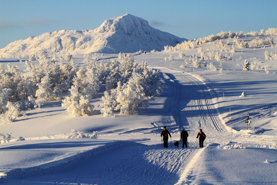 Wintersport  Beitostølen